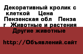 Декоративный кролик с клеткой. › Цена ­ 2 500 - Пензенская обл., Пенза г. Животные и растения » Другие животные   